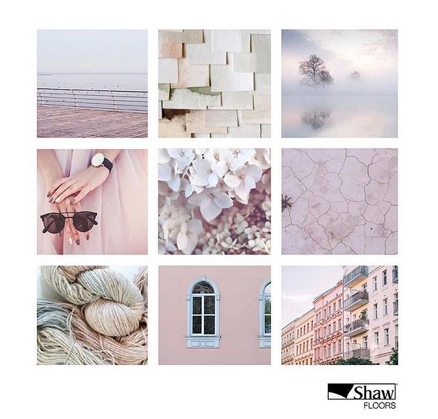 Designer-Spotlight_Whisper_image2